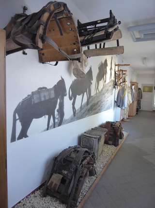 Museumsgalerie mit historischen Militär-Packsätteln und Ausrüstung, dazu ein großes Wandbild von Lastmaultieren auf einem Bergpfad.