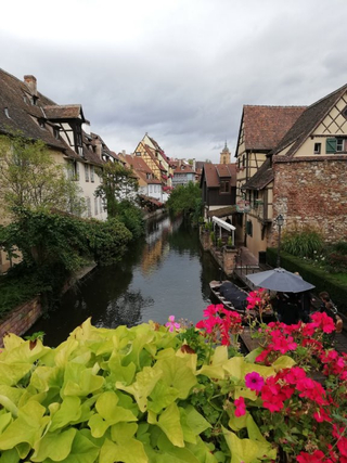 Blick auf einen Kanal, gesäumt von farbenfrohen Fachwerkhäusern unter bewölktem Himmel, mit leuchtend grünen und rosa Blumen im Vordergrund.