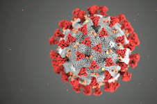 3D-Darstellung des SARS-CoV-2 Coronavirus mit roten Spike-Proteinen auf grauem Hintergrund.