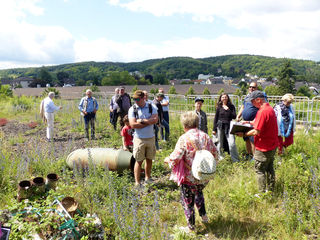 Gruppe erkundet grasbewachsenes Feld mit Wildblumen, altem Metallobjekt. Häuser, bewaldeter Hügel im Hintergrund.
