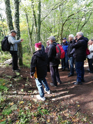 Eine Gruppe Wanderer lauscht einem Wanderführer im Wald, der mit den Händen gestikuliert und etwas erklärt. Bäume und Laub am Boden.