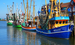 Fünf bunte Fischkutter liegen an einem sonnigen Tag im Hafen, mit Backsteinhäusern im Hintergrund.